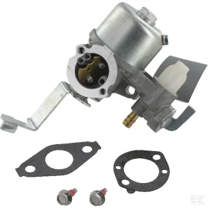 Briggs carb 796447