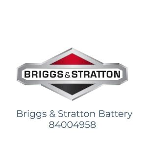 Briggs & Stratton Battery 84004958