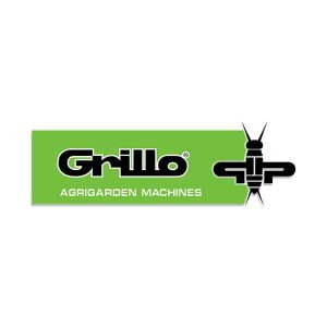 Grillo