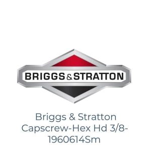 Briggs & Stratton Capscrew-Hex Hd 3/8- 1960614Sm