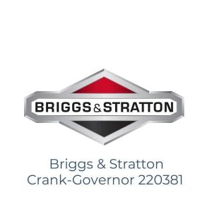 Briggs & Stratton Crank-Governor 220381