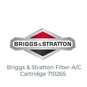 Briggs & Stratton Filter-A/C Cartridge 710265