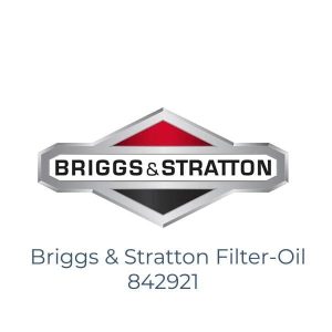 Briggs & Stratton Filter-Oil 842921