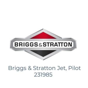 Briggs & Stratton Jet, Pilot 231985