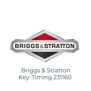 Briggs & Stratton Key-Timing 231160