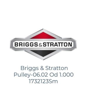 Briggs & Stratton Pulley-06.02 Od 1.000 1732123Sm