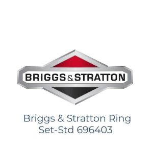 Briggs & Stratton Ring Set-Std 696403
