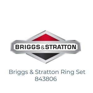 Briggs & Stratton Ring Set 843806