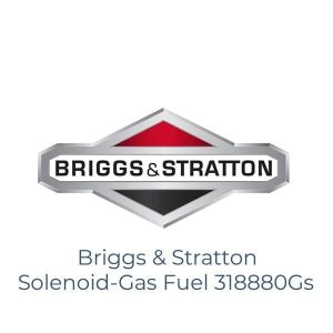 Briggs & Stratton Solenoid-Gas Fuel 318880Gs