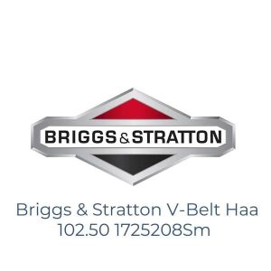 Briggs & Stratton V-Belt Haa 102.50 1725208Sm