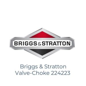 Briggs & Stratton Valve-Choke 224223