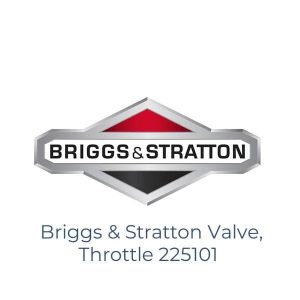 Briggs & Stratton Valve, Throttle 225101
