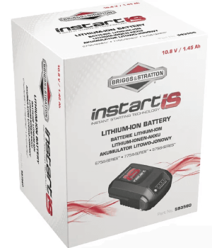 BRIGGS & STRATTON BATTERY 597189