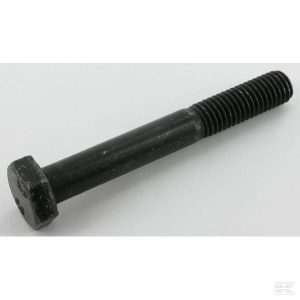 Etesia Kawa Screw H M10X75, 71032